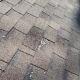 Roof that Needs Repair