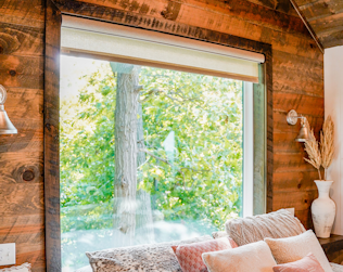 ProVia Endure Picture Windows